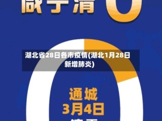 湖北省28日各市疫情(湖北1月28日新增肺炎)