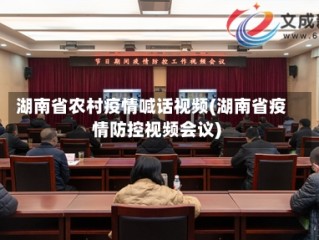 湖南省农村疫情喊话视频(湖南省疫情防控视频会议)