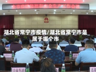 湖北省常宁市疫情/湖北省常宁市是属于哪个市