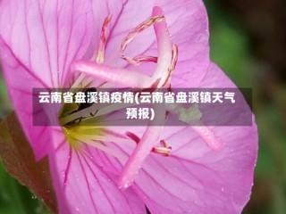 云南省盘溪镇疫情(云南省盘溪镇天气预报)