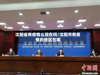 沈阳省有疫情么现在吗/沈阳市有疫情的地区在哪