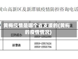 黄梅疫情是哪个省支援的(黄梅的疫情情况)