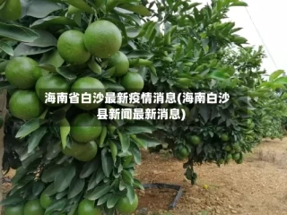 海南省白沙最新疫情消息(海南白沙县新闻最新消息)