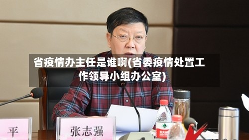 省疫情办主任是谁啊(省委疫情处置工作领导小组办公室)