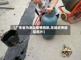 【广东省为湖北疫情捐款,无缝式伸缩缝图片】