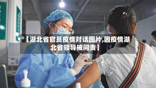 【湖北省官员疫情对话图片,因疫情湖北省领导被问责】