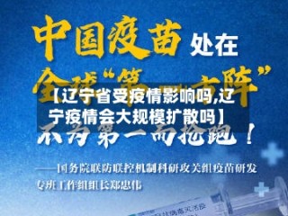 【辽宁省受疫情影响吗,辽宁疫情会大规模扩散吗】