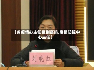 【省疫情办主任级别高吗,疫情防控中心主任】