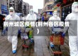 荆州城区疫情(荆州各区疫情)