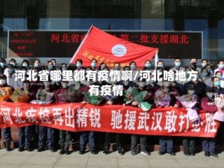 河北省哪里都有疫情啊/河北啥地方有疫情