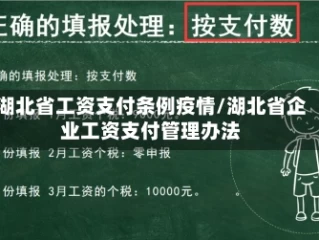 湖北省工资支付条例疫情/湖北省企业工资支付管理办法