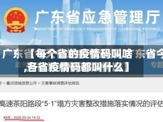【每个省的疫情码叫啥,各省疫情码都叫什么】