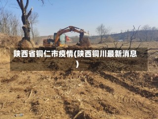 陕西省铜仁市疫情(陕西铜川最新消息)