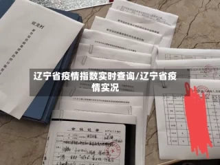 辽宁省疫情指数实时查询/辽宁省疫情实况
