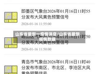 山东省最新一疫情消息/山东省最新疫情数据
