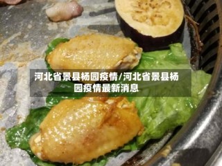 河北省景县杨园疫情/河北省景县杨园疫情最新消息