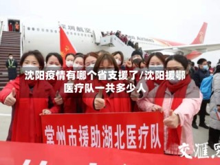 沈阳疫情有哪个省支援了/沈阳援鄂医疗队一共多少人