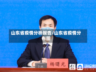 山东省疫情分析报告/山东省疫情分布图