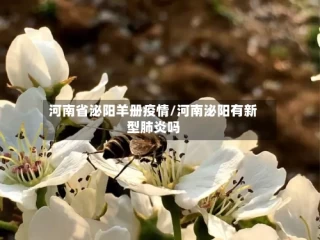 河南省泌阳羊册疫情/河南泌阳有新型肺炎吗