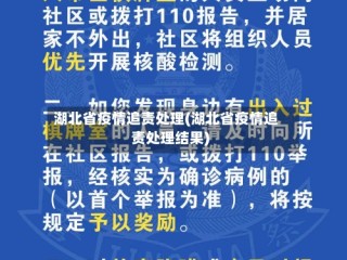 湖北省疫情追责处理(湖北省疫情追责处理结果)