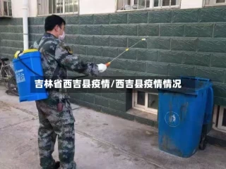 吉林省西吉县疫情/西吉县疫情情况