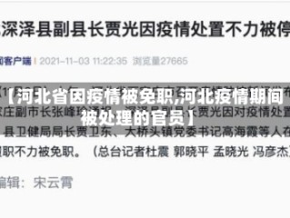 【河北省因疫情被免职,河北疫情期间被处理的官员】