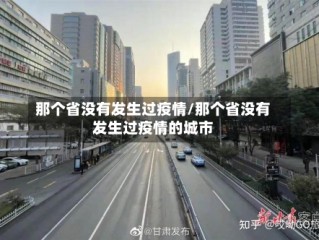 那个省没有发生过疫情/那个省没有发生过疫情的城市