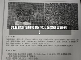 河北省深泽县疫情(河北深泽确诊病例)