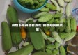 疫情下菜得省着点吃/疫情期间的蔬菜