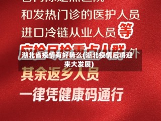 湖北省疫情有好转么(湖北疫情后将迎来大发展)