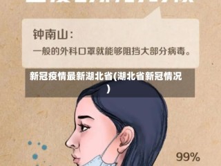 新冠疫情最新湖北省(湖北省新冠情况)