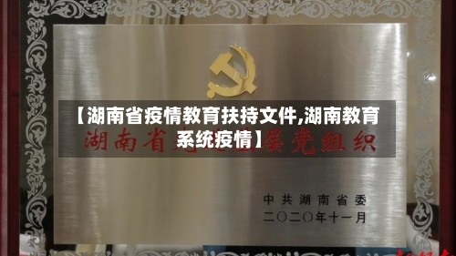 【湖南省疫情教育扶持文件,湖南教育系统疫情】