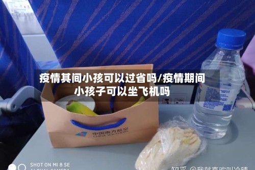 疫情其间小孩可以过省吗/疫情期间小孩子可以坐飞机吗