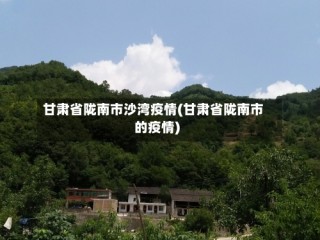 甘肃省陇南市沙湾疫情(甘肃省陇南市的疫情)