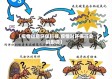 【疫情过后环保科技,疫情对环保行业的影响】
