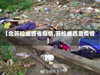 【北苏拉威西省疫情,苏拉威西岛疫情】