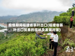 疫情期间福建省茶叶出口(福建省茶叶出口贸易的现状及发展对策)