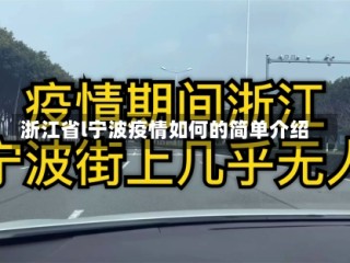 浙江省l宁波疫情如何的简单介绍