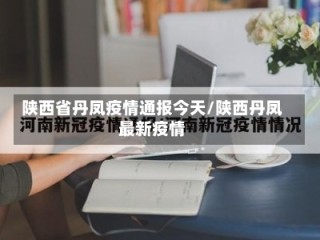陕西省丹凤疫情通报今天/陕西丹凤最新疫情