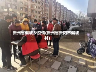 贵州省偏坡乡疫情(贵州省贵阳市偏坡村)