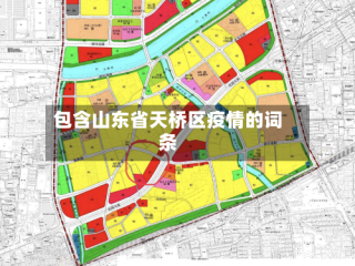 包含山东省天桥区疫情的词条