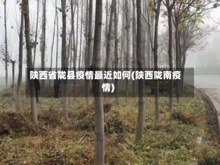 陕西省陇县疫情最近如何(陕西陇南疫情)