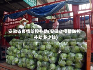 安徽省疫情防控补助(安徽省疫情防控补助多少钱)