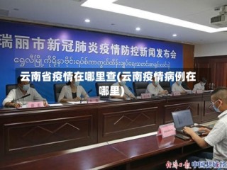 云南省疫情在哪里查(云南疫情病例在哪里)