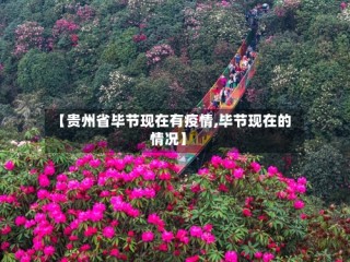 【贵州省毕节现在有疫情,毕节现在的情况】