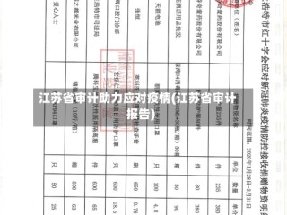 江苏省审计助力应对疫情(江苏省审计报告)