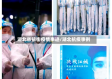 湖北省抗击疫情事迹/湖北抗疫事例