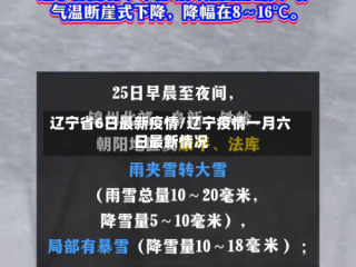 辽宁省6日最新疫情/辽宁疫情一月六日最新情况
