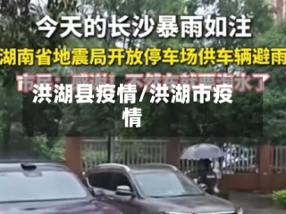 洪湖县疫情/洪湖市疫情
