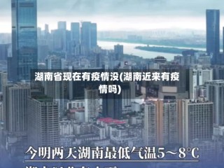 湖南省现在有疫情没(湖南近来有疫情吗)